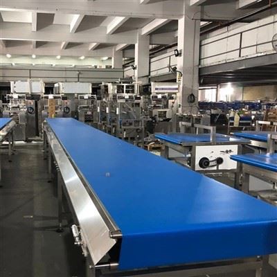 Automaatne vahvliküpsiste pakkimisliin